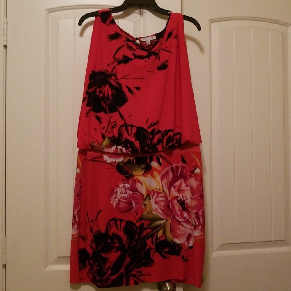 Sandra Darren Dress